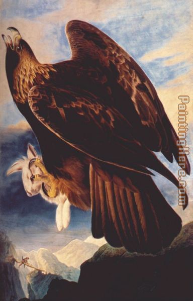 Golden Eagle painting - John James Audubon Golden Eagle art painting